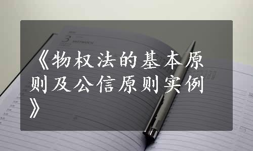 《物权法的基本原则及公信原则实例》