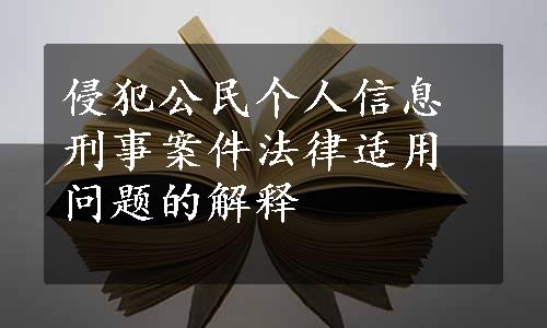 侵犯公民个人信息刑事案件法律适用问题的解释