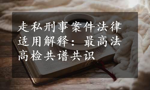 走私刑事案件法律适用解释：最高法高检共谱共识