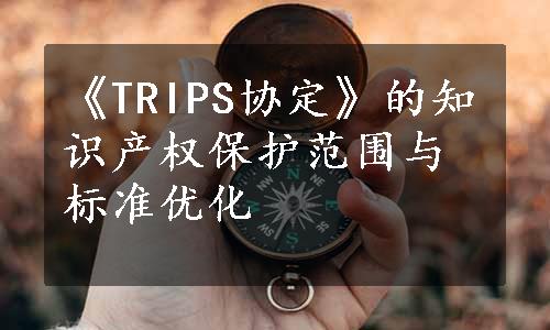 《TRIPS协定》的知识产权保护范围与标准优化