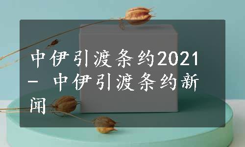 中伊引渡条约2021 - 中伊引渡条约新闻