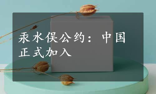 汞水俣公约：中国正式加入