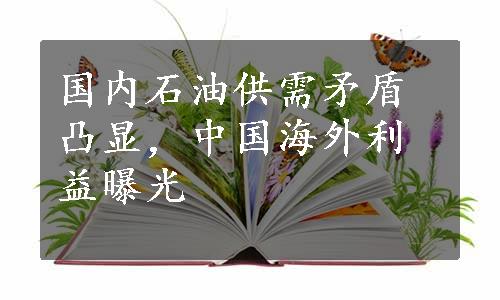 国内石油供需矛盾凸显，中国海外利益曝光