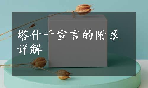 塔什干宣言的附录详解