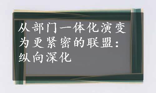 从部门一体化演变为更紧密的联盟：纵向深化