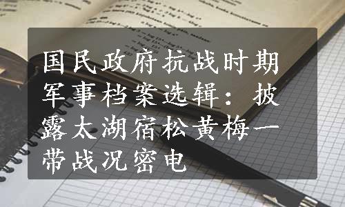 国民政府抗战时期军事档案选辑：披露太湖宿松黄梅一带战况密电