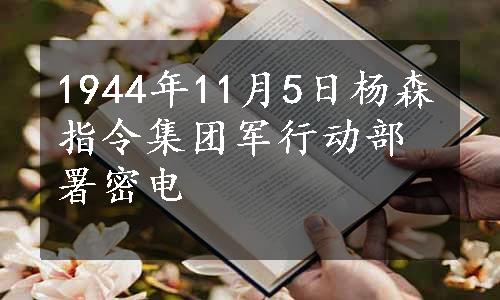 1944年11月5日杨森指令集团军行动部署密电