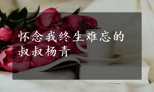 怀念我终生难忘的叔叔杨青