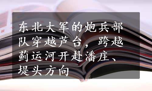 东北大军的炮兵部队穿越芦台，跨越蓟运河开赴潘庄、堤头方向