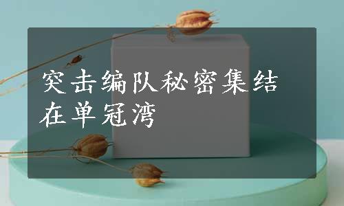 突击编队秘密集结在单冠湾