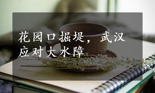 花园口掘堤，武汉应对大水障