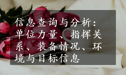 信息查询与分析：单位力量、指挥关系、装备情况、环境与目标信息