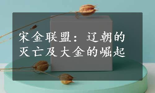 宋金联盟：辽朝的灭亡及大金的崛起