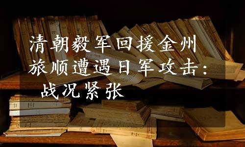 清朝毅军回援金州旅顺遭遇日军攻击: 战况紧张