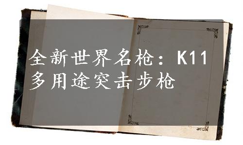 全新世界名枪：K11多用途突击步枪