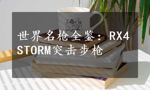 世界名枪全鉴：RX4STORM突击步枪