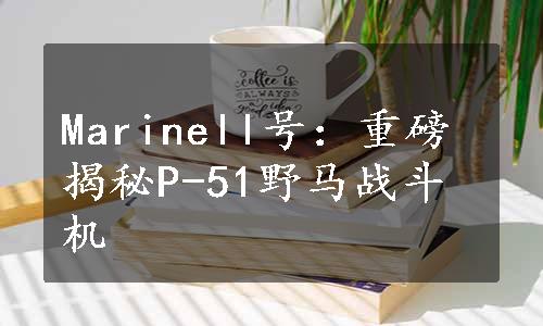 Marinell号：重磅揭秘P-51野马战斗机