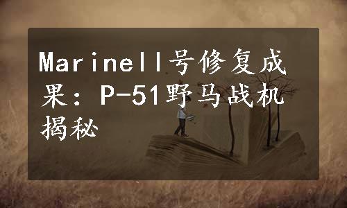 Marinell号修复成果：P-51野马战机揭秘