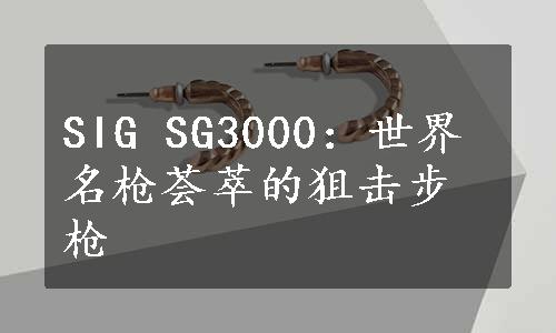 SIG SG3000：世界名枪荟萃的狙击步枪