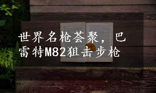 世界名枪荟聚，巴雷特M82狙击步枪