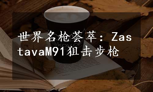 世界名枪荟萃：ZastavaM91狙击步枪