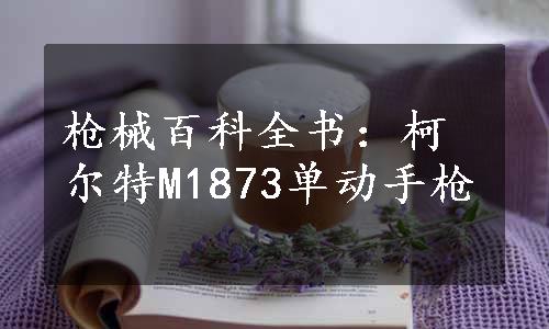 枪械百科全书：柯尔特M1873单动手枪