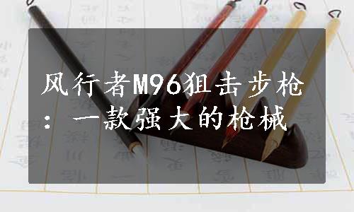 风行者M96狙击步枪：一款强大的枪械