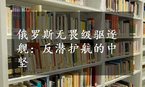 俄罗斯无畏级驱逐舰：反潜护航的中坚