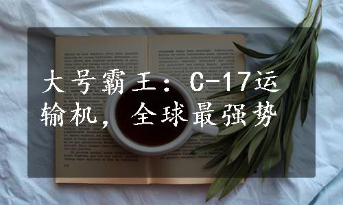 大号霸王：C-17运输机，全球最强势