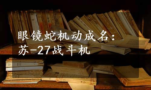 眼镜蛇机动成名：苏-27战斗机