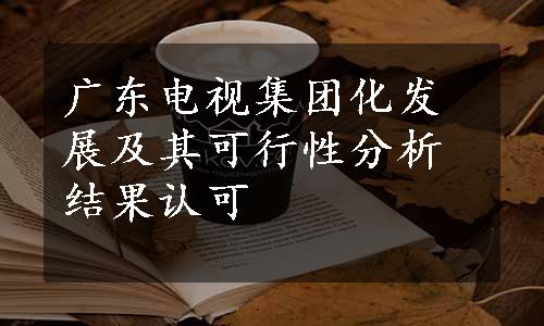 广东电视集团化发展及其可行性分析结果认可