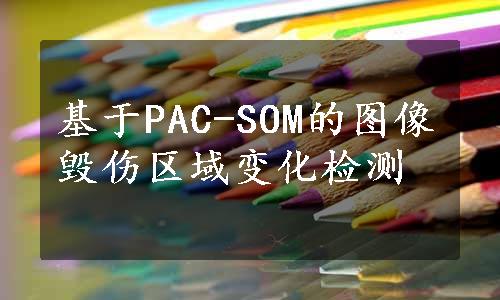 基于PAC-SOM的图像毁伤区域变化检测