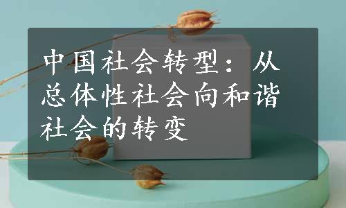 中国社会转型：从总体性社会向和谐社会的转变