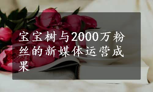 宝宝树与2000万粉丝的新媒体运营成果