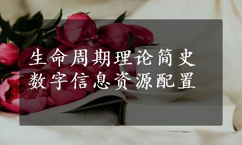 生命周期理论简史数字信息资源配置