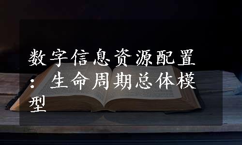 数字信息资源配置：生命周期总体模型