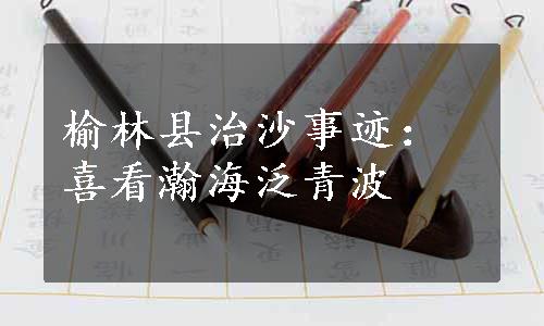 榆林县治沙事迹：喜看瀚海泛青波