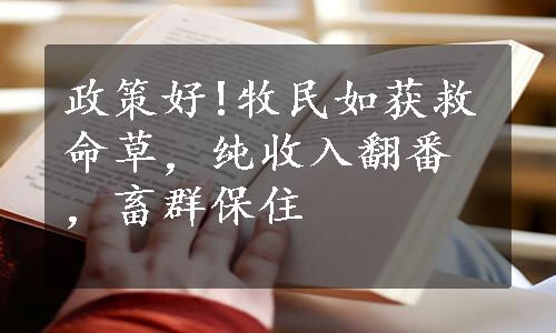 政策好!牧民如获救命草，纯收入翻番，畜群保住