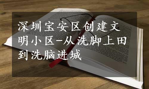 深圳宝安区创建文明小区-从洗脚上田到洗脑进城