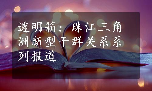 透明箱：珠江三角洲新型干群关系系列报道