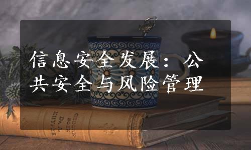 信息安全发展：公共安全与风险管理