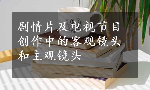 剧情片及电视节目创作中的客观镜头和主观镜头