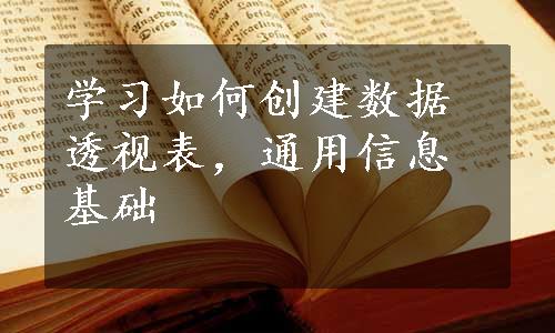 学习如何创建数据透视表，通用信息基础