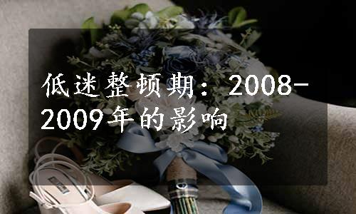 低迷整顿期：2008-2009年的影响