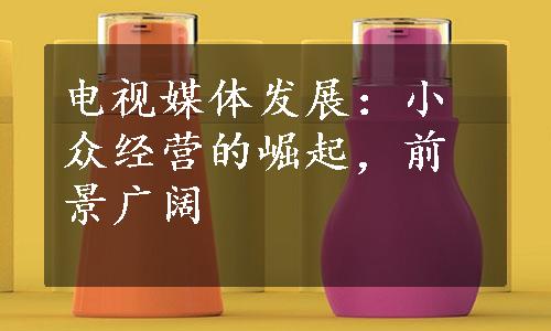 电视媒体发展：小众经营的崛起，前景广阔