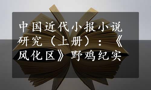 中国近代小报小说研究（上册）：《风化区》野鸡纪实