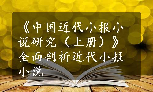 《中国近代小报小说研究（上册）》全面剖析近代小报小说