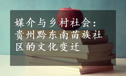 媒介与乡村社会：贵州黔东南苗族社区的文化变迁