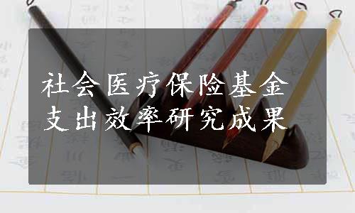 社会医疗保险基金支出效率研究成果