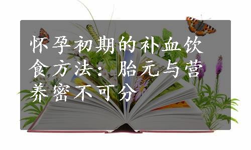 怀孕初期的补血饮食方法：胎元与营养密不可分